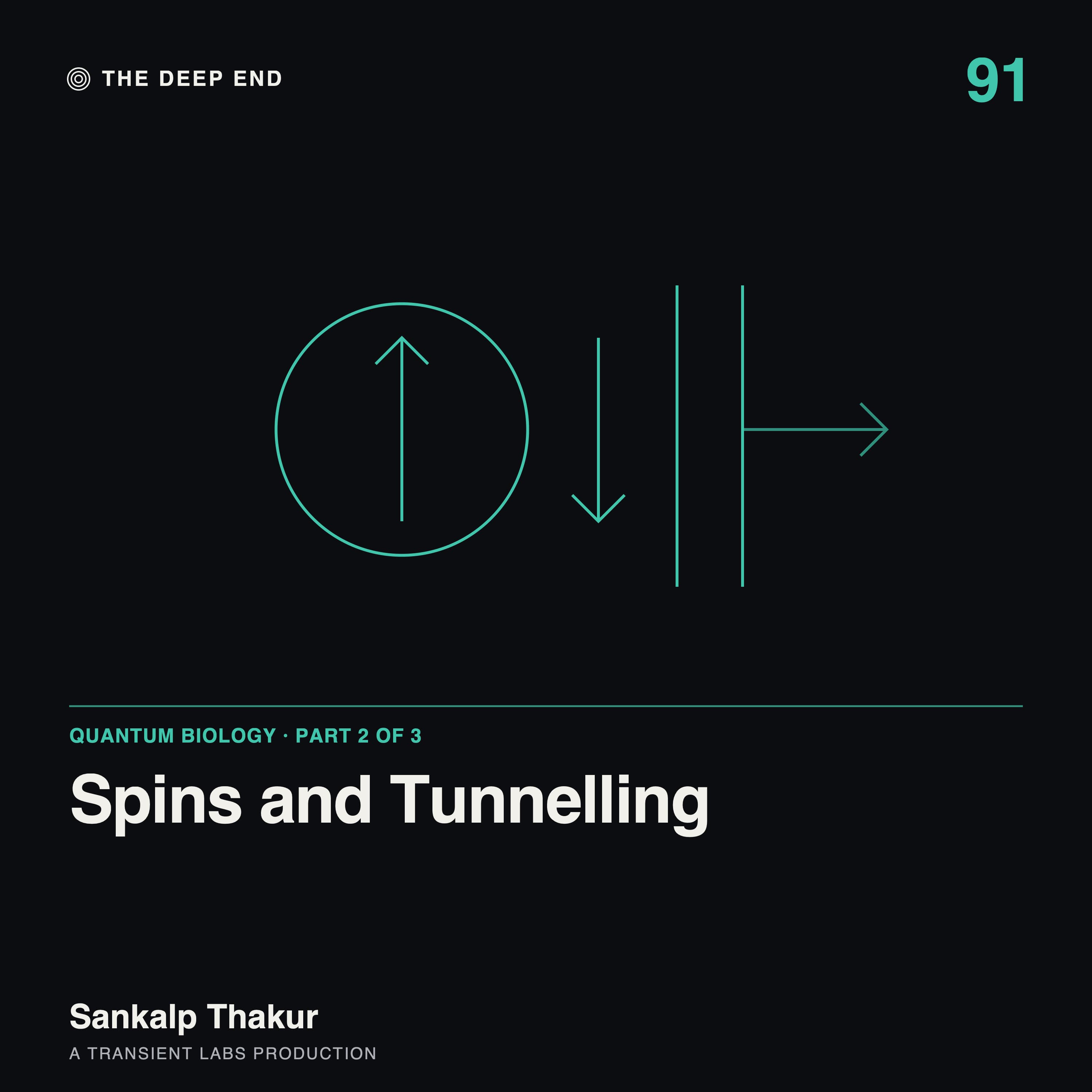 Episode 91: Spins and Tunnelling: The Robin's Compass, Cheating Enzymes and the Protons in Your DNA, by Sankalp Thakur